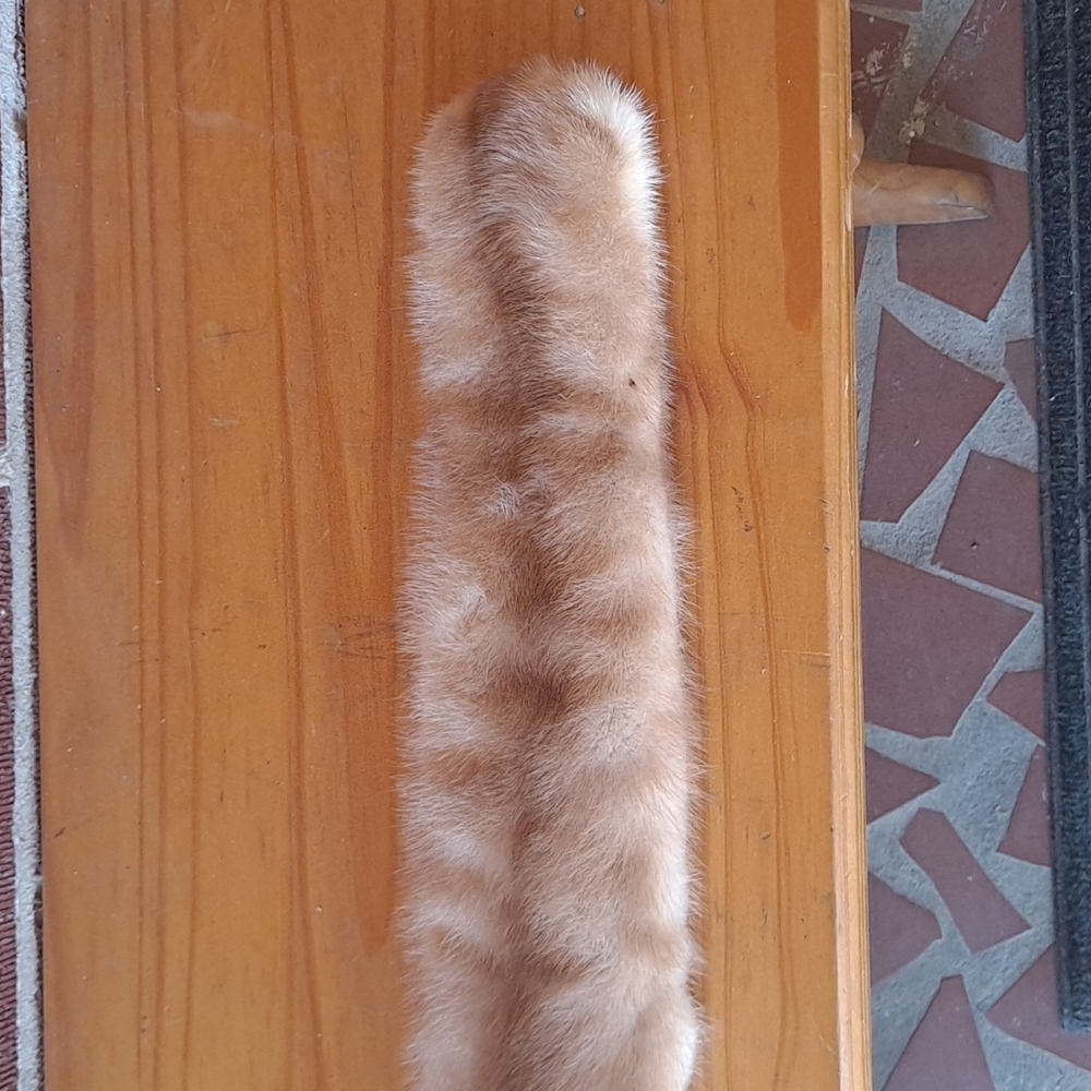 MINK SCARF COLLAR - Picture 4 of 8